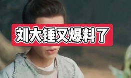 刘大锤爆料男仆视频,男仆视频背后的真实故事